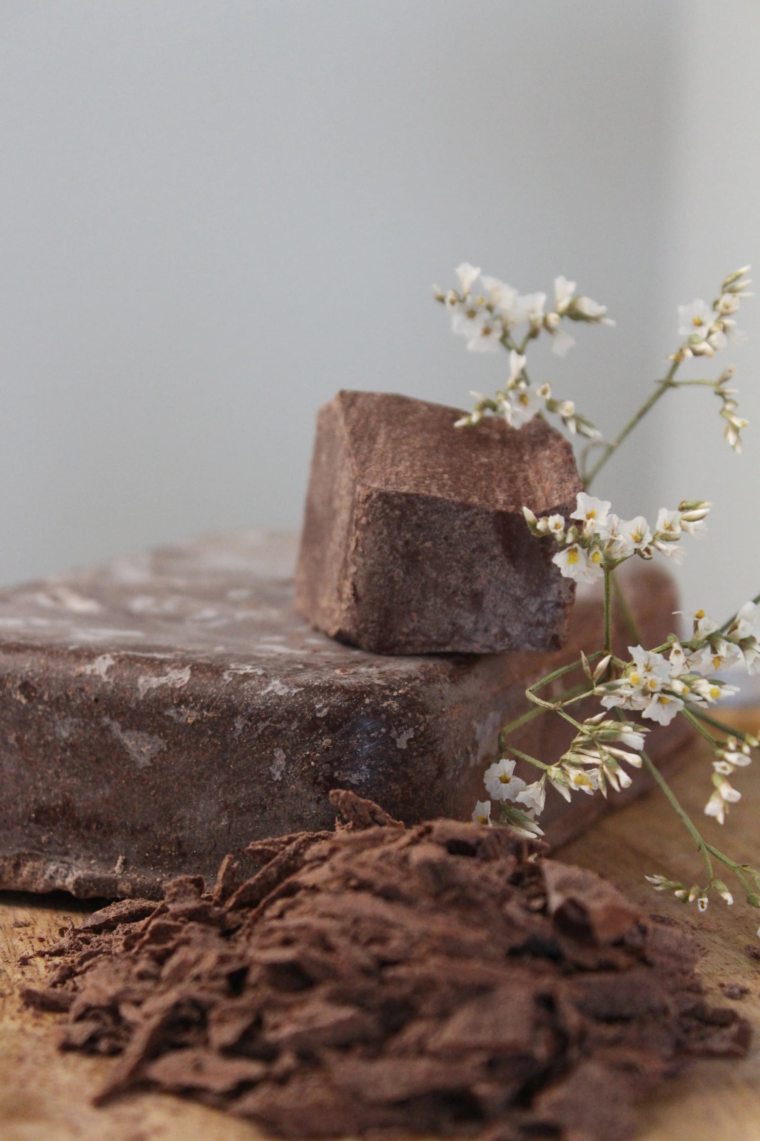 Cabosse et bol de cacao à l'encre, posés d'un trait de pinceau